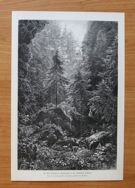 Wood Engraving Wulf Canyon Amselgrund Saechsische Schweiz 1884 after drawing by E Heyn Art Artist